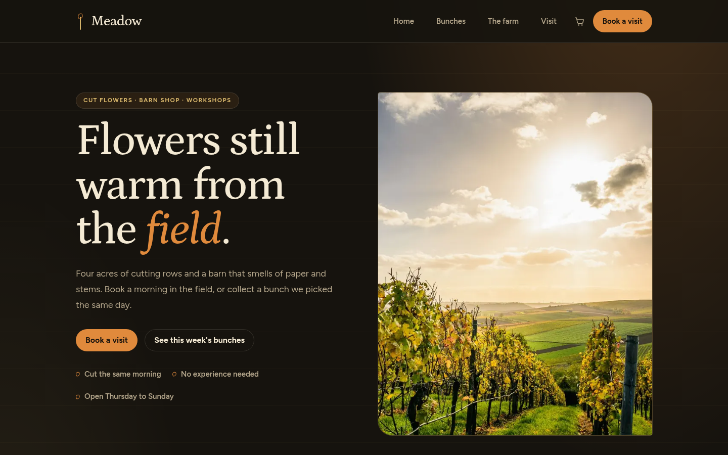 Screenshot of the Meadow template homepage