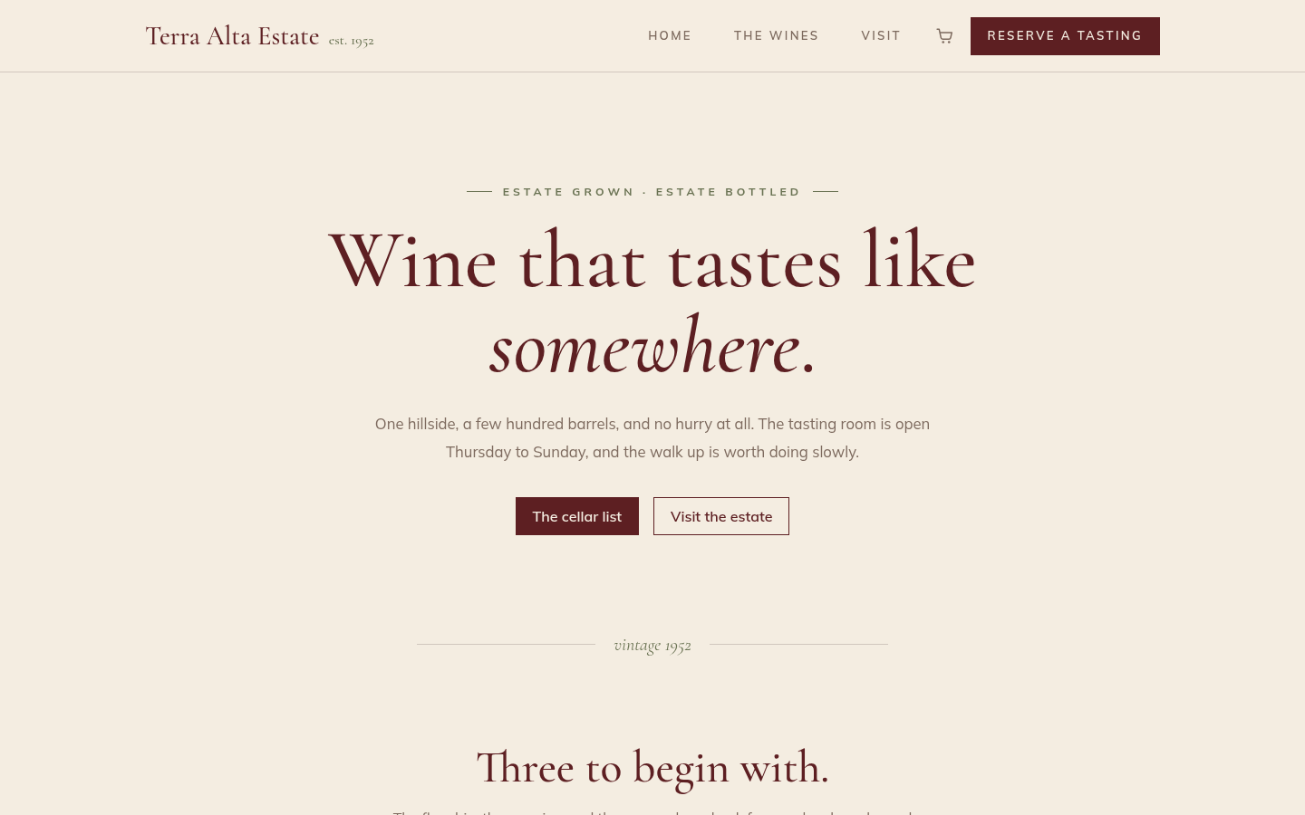 Screenshot of the Terra template homepage